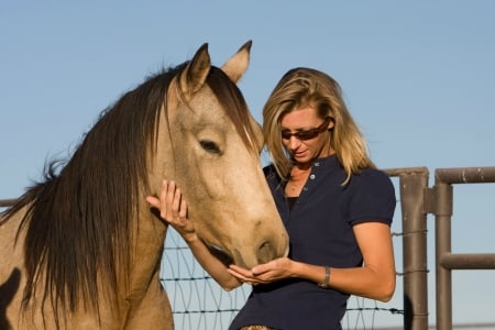 Visiting A Friend - cowgirl, fence, horse, sunglasses