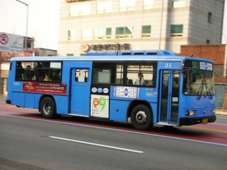 daegu bus - bus, street, daegu, building