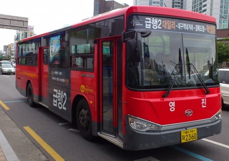 daegu bus - bus, street, daegu, building