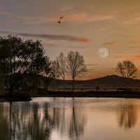 Spanish Landscape with Moon