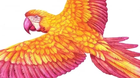 Parrot - art, papagal, yellow, pink, parrot, fantasy, pasare, bird