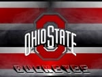 OHIO STATE BUCKEYES