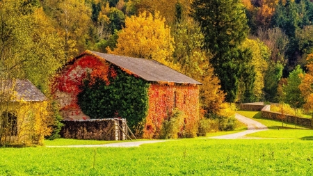 Autumn Cottage - house, trees, nature, autumn, grass, forest, cottage