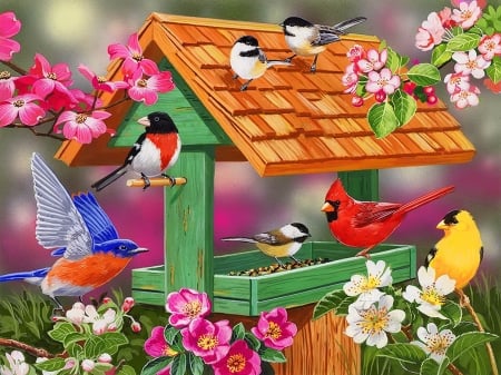 Feathers and flowers - gathering, blooms, colorful, spring, cardinals, art, blossoms, pretty, beautiful, feather, friends, birdhouse, flowers, birds