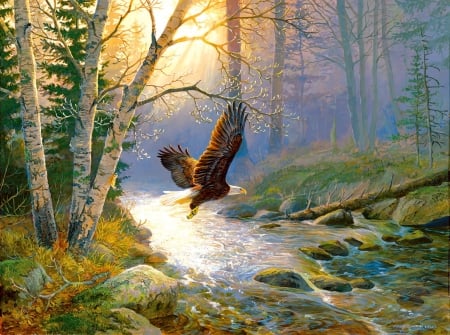 Spring run - pretty, trees, beautiful, creek, run, spring, forest, lovely, brook, river, eagle, flight, art