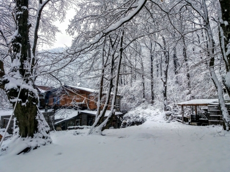 winter - park, germia, kosovo, national