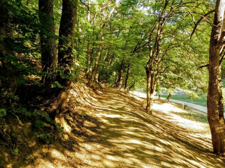 summer in the park - park, germia, kosovo, national