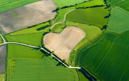 Landscape with heart - view from the top, skin, landscape, trittau, heart, valentine, field, schleswig holstein, green, texture, germany