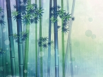 Bamboo