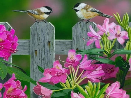 Chickadees - fence, lovely, spring, pretty, chickadees, beautiful, friends, flower, birds