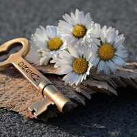 Daisies and key