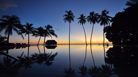 Sunset Reflection with Palm Silhouettes - horizon, maldives, trees, sunset, palm, nature, reflection, island, sea, bungalow