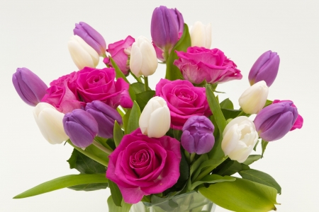 Tulips and Roses - nature, roses, tulips, bouquet, flowers