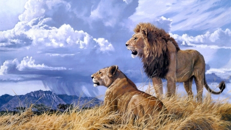 Lions - big cats, lioness, blue, leu, animal, cloud, lion, couple, sky