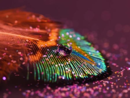 Feather - feather, abstract, shiny, sparkle