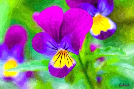 Pansies - cehenot, water color, painting, art, abstract, yellow, pink, luminos, pictura, green, by cehenot, flower