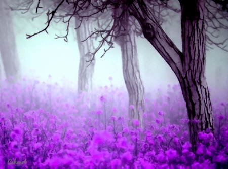 Morning mist - abstract, lavender, by cehenot, morning, forest, flower, pink, cehenot, tree, pictura, painting, mist, art