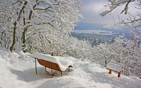 Bench under the Snow - bench, winter, trees, landscape