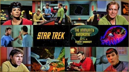 The Immunity Syndrome - star trek, enterprise, vulcan, intrepid, ameba, amoeba, organism