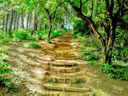 starway to heaven - Bashqe, Toug, Kosovo, Prishtina