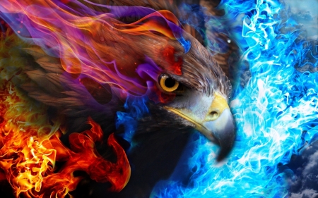 Eagle - bird, fantasy, eagle, blue, fire, red, pasare, orange