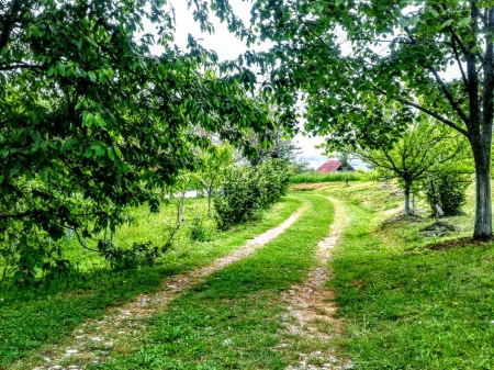 contry road - artana, road, kosovo, labjan