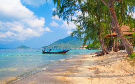 koh tao - water, beach, boat, thailand, sand, tree, koh tao