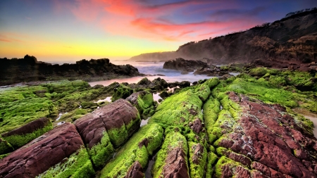 Sea Coast Sunset - landscape, moss, sunset, waves, rocks, coast, nature, green, sea