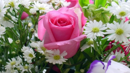 Pink Rose With Other Flowers