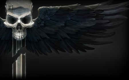 Death wing - warhammer, black, white, wing, feather, death, skull, bones