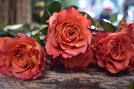 Pink Roses - nature, roses, pink, petals, flowers, bouquet