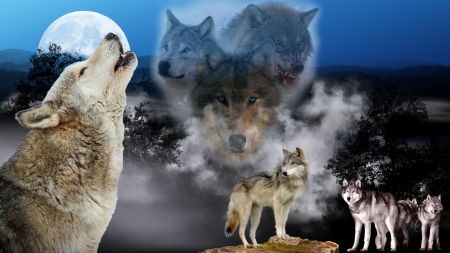 MaDonnas Wolves - mountains, spirits, collage, dark, sky, wolf, wolves, lobo, loup, firefox persona, full moon, trees