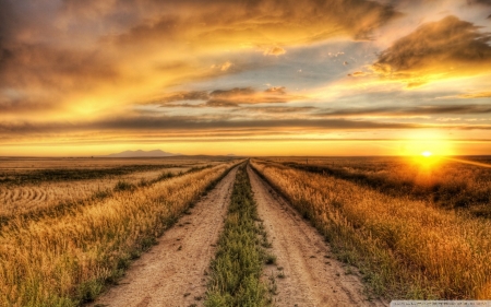 Road in the Field at Sunset - nature, sky, landscape, clouds, field, sunset, road