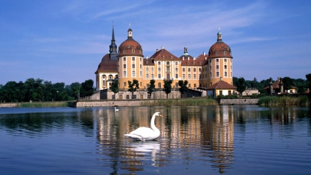 Swan on the Lake in front of the mansion - birds, Nature, mansion, swan, lake, reflection