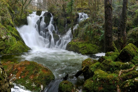 Forest Waterfall - forest, nature, waterfall, rocks