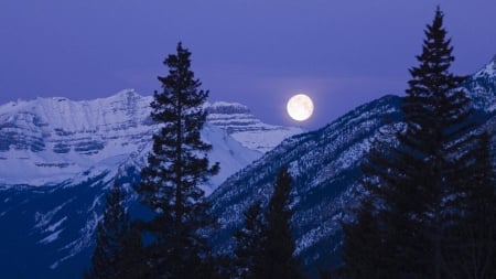 Moon as a White Spot - moon, trees, nature, snow, night, mountains