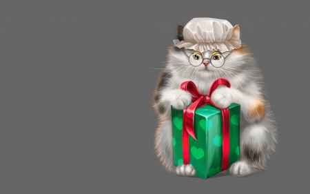 Christmas gift - alesya lukyanenko, cat, christmas, fantasy, pisica, grey, craciun, red, green, gift, luminos