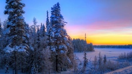 Winter Sunset - nature, sky, trees, snow, winter, sunset