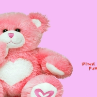 Pink Teddy Bear