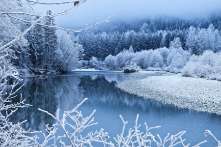 Winter Lake - trees, branches, winter, water, fog, snow, lake