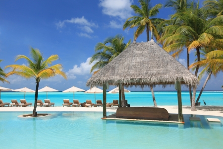 Maldives - resorts, palm trees, pool, travel