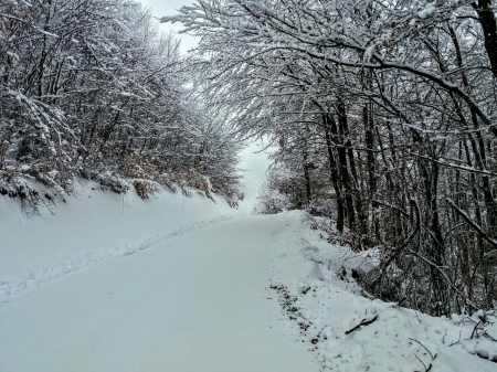 winter in the road  after village vllase - winter, ksovo, trees, road