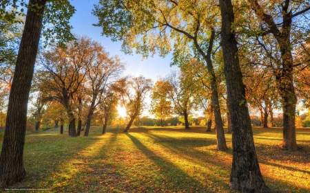 Autumn Park - nature, autumn, yellow, trees, park