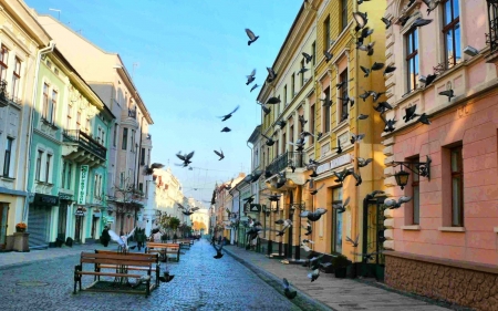 Street with Pigeons - street, pigeons, Russia, streetscape, houses