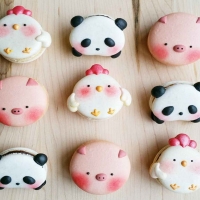 Panda Macaroons Cookies