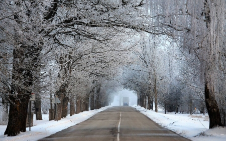 Winter Road in Latvia - hoarfrost, trees, winter, latvia, road