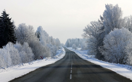 Winter Road in Latvia - Latvia, trees, winter, road, hoarfrost