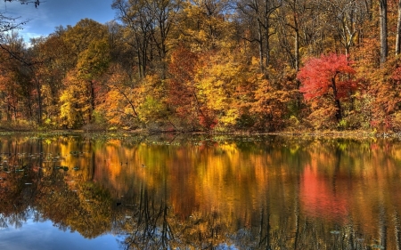 Autumn Lake - nature, autumn, lake, trees, reflection, forest