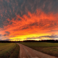 Country Road In The Field At Sunrise