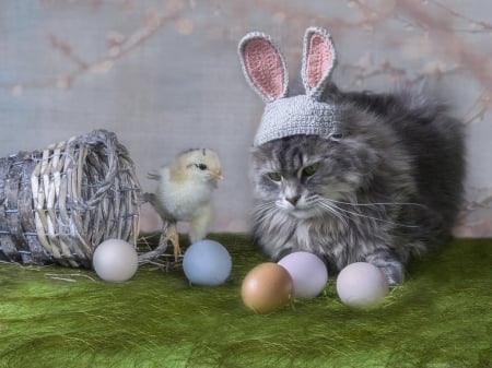 Just Easter friends - cat, easter, basket, pisica, bunny, daykiney, ears, chicken, egg, cute